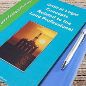 Critical Legal Concepts